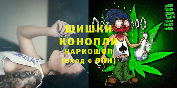 соль ск Арсеньев