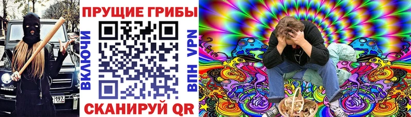 магазин продажи наркотиков  MEGA маркетплейс  Галлюциногенные грибы MAGIC MUSHROOMS  Пустошка 